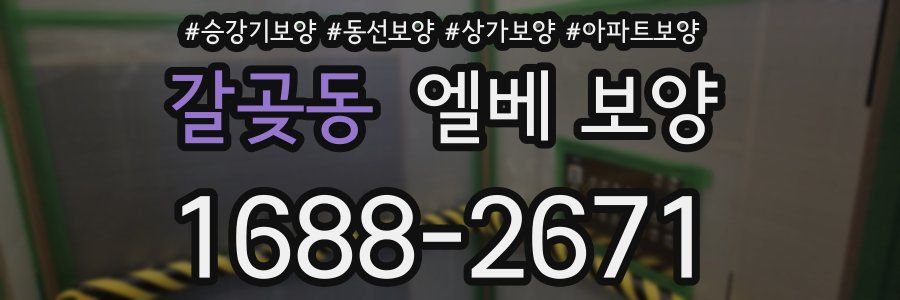 갈곶동 엘베 보양
