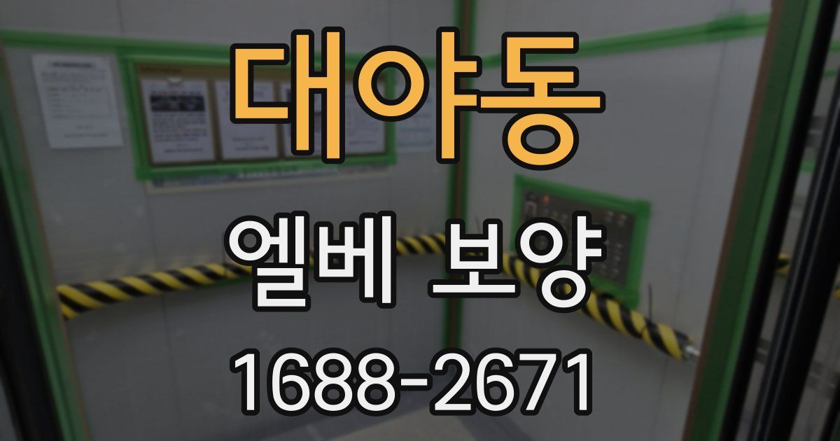 대야동 엘베 보양