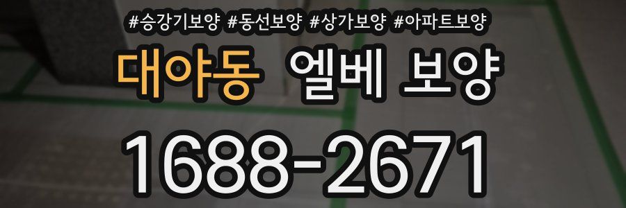 대야동 엘베 보양