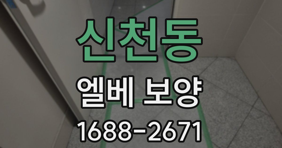 신천동 엘베 보양
