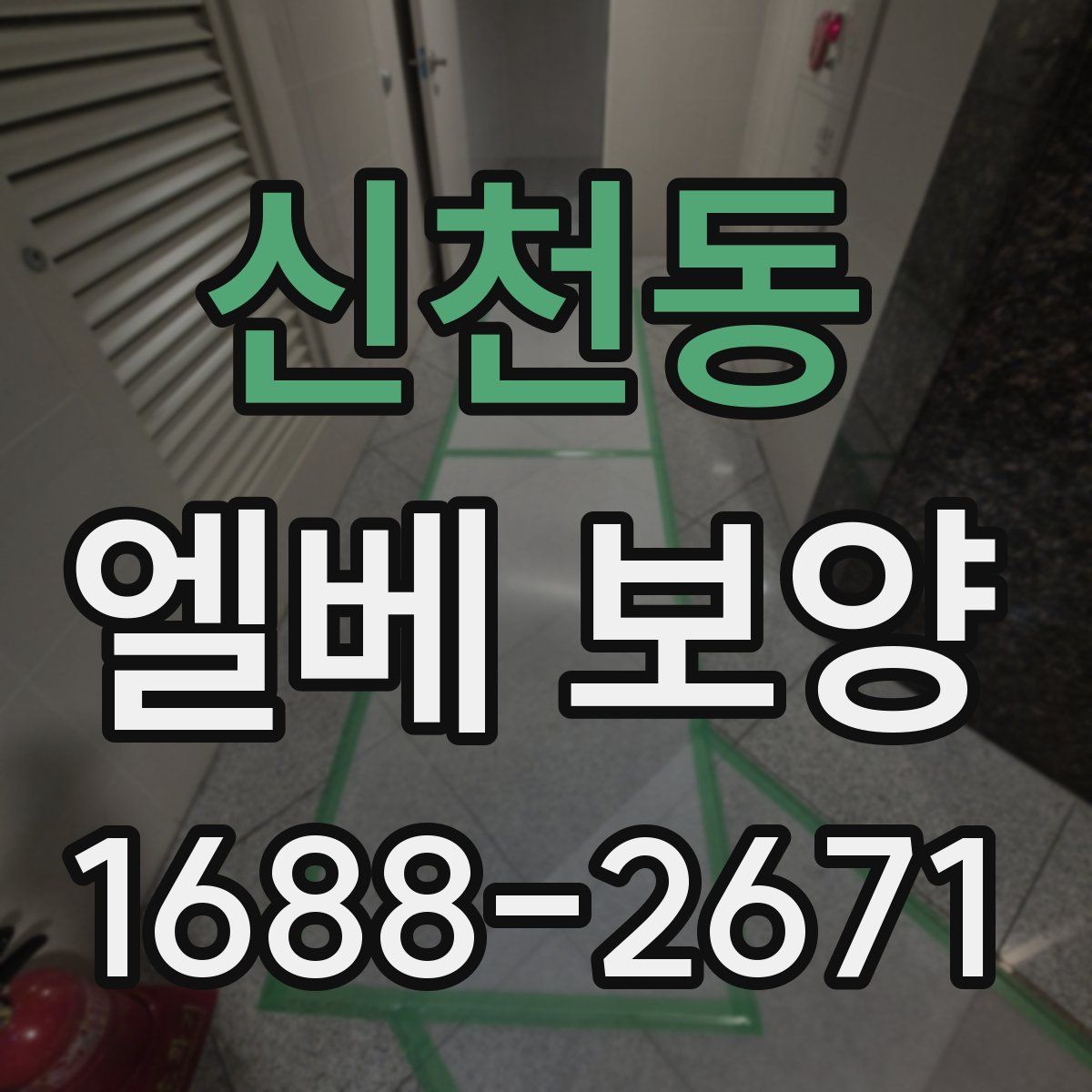 신천동 엘베 보양