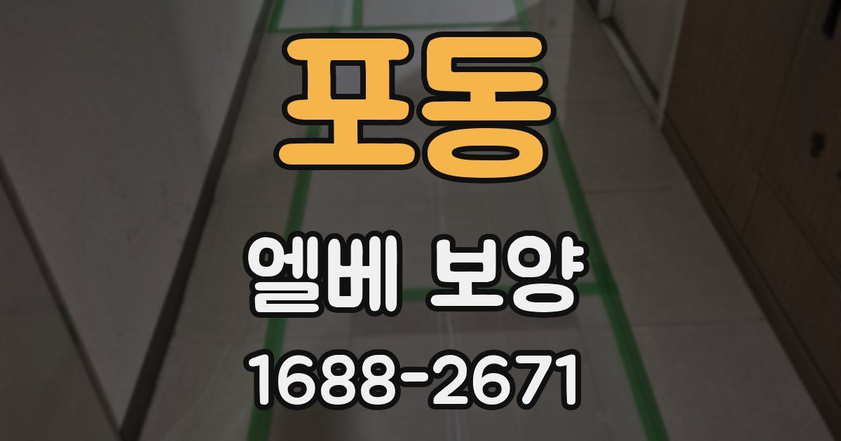 포동 엘베 보양