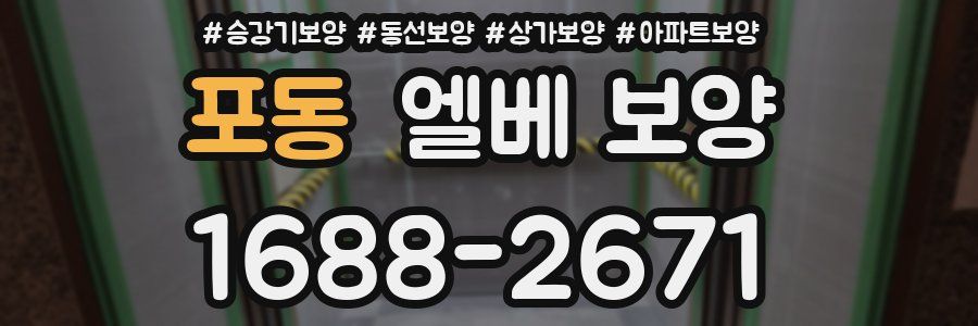 포동 엘베 보양