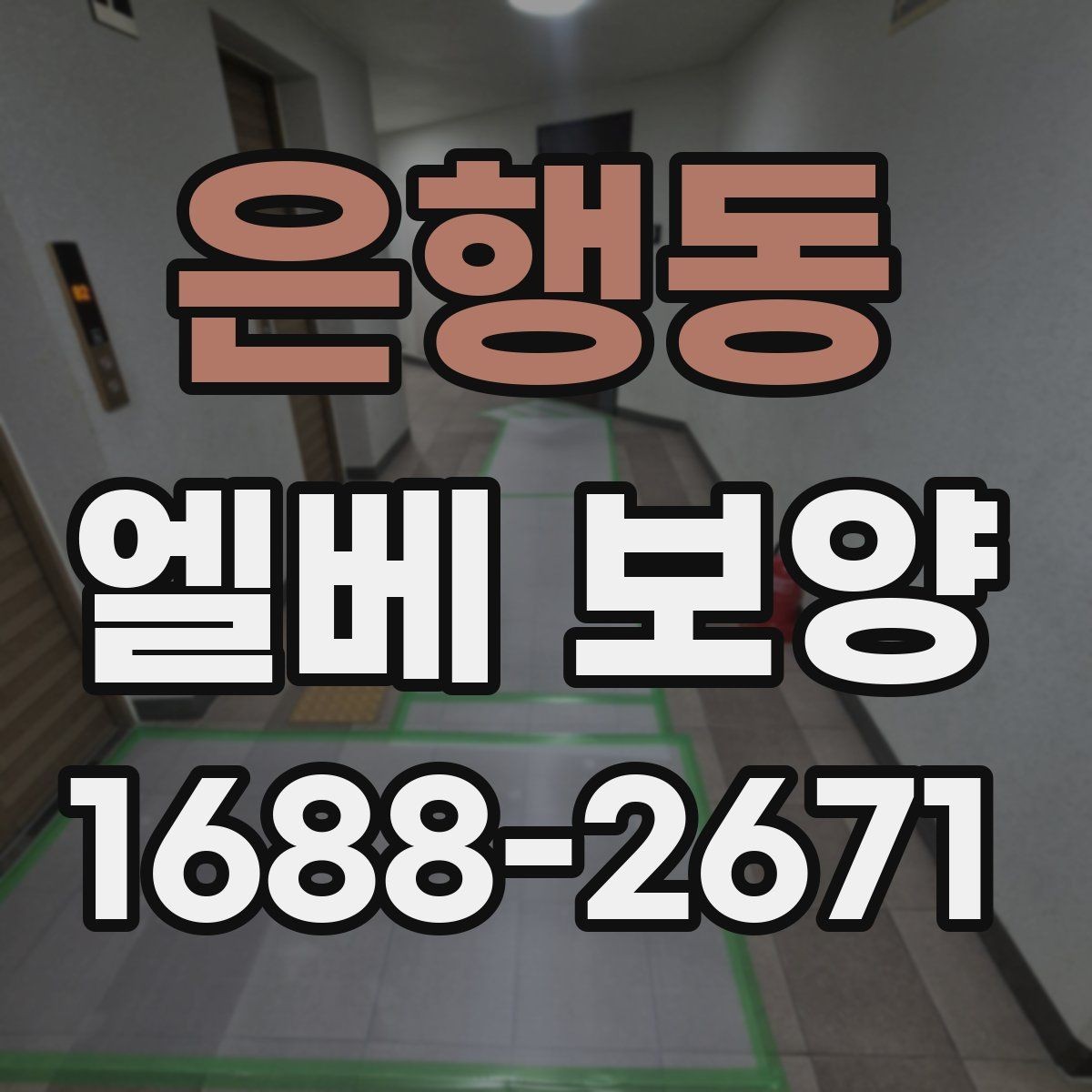 은행동 엘베 보양 유리 패널 있는 승강기에서 볼 점검 항목