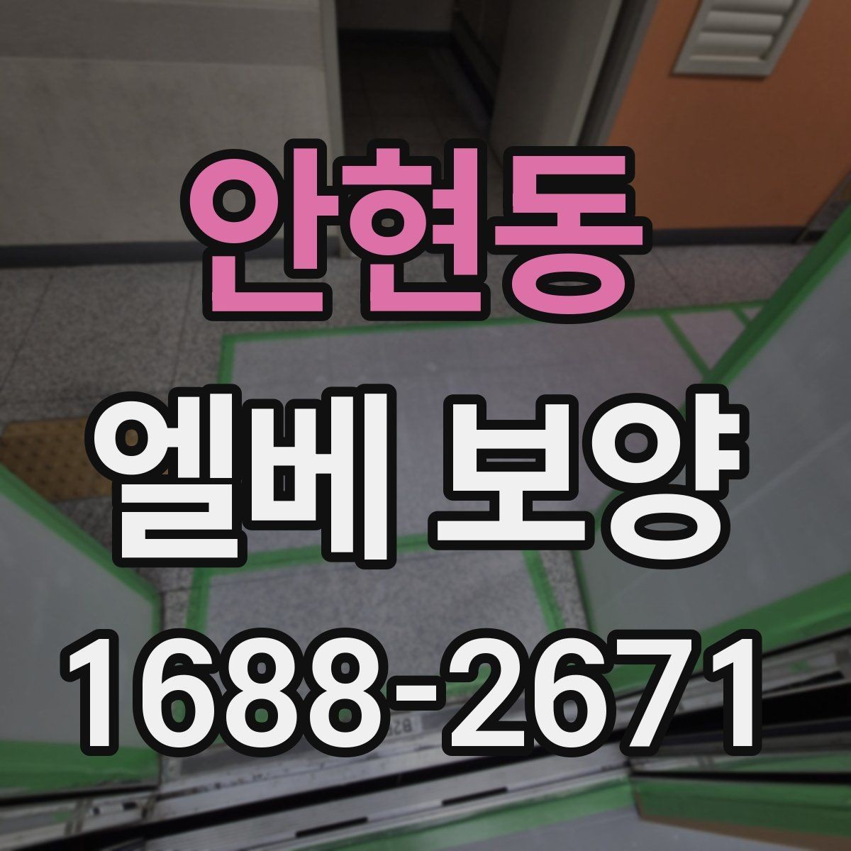 안현동 엘베 보양 이사 동선이 겹칠 때 운영 기준