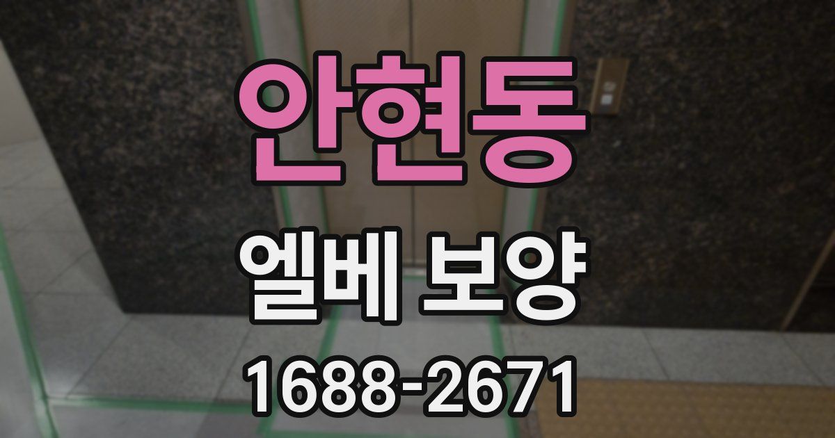 안현동 엘베 보양