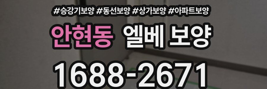 안현동 엘베 보양