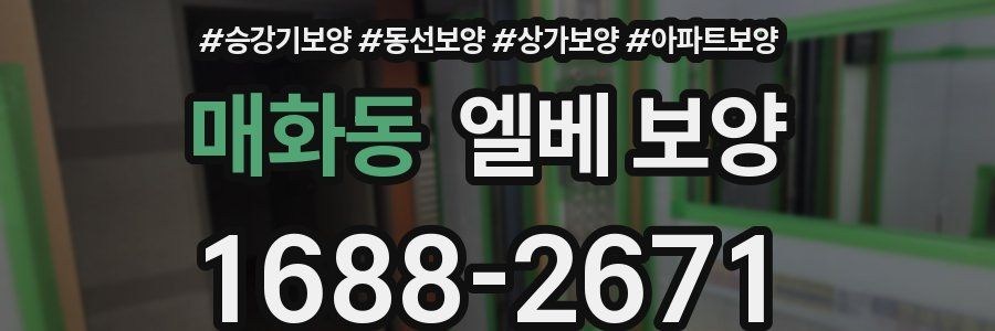 매화동 엘베 보양