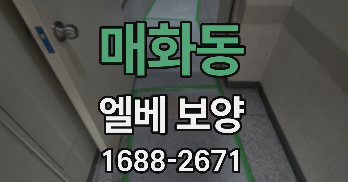 매화동 엘베 보양
