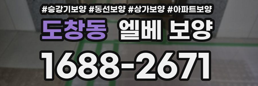 도창동 엘베 보양