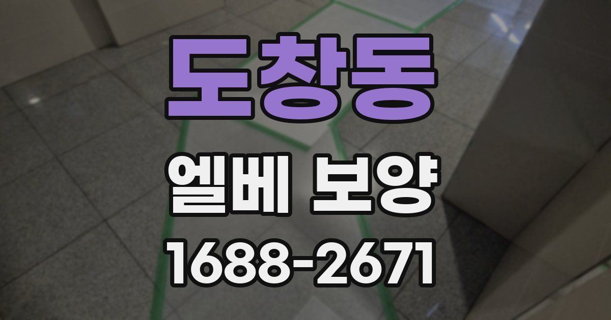 도창동 엘베 보양