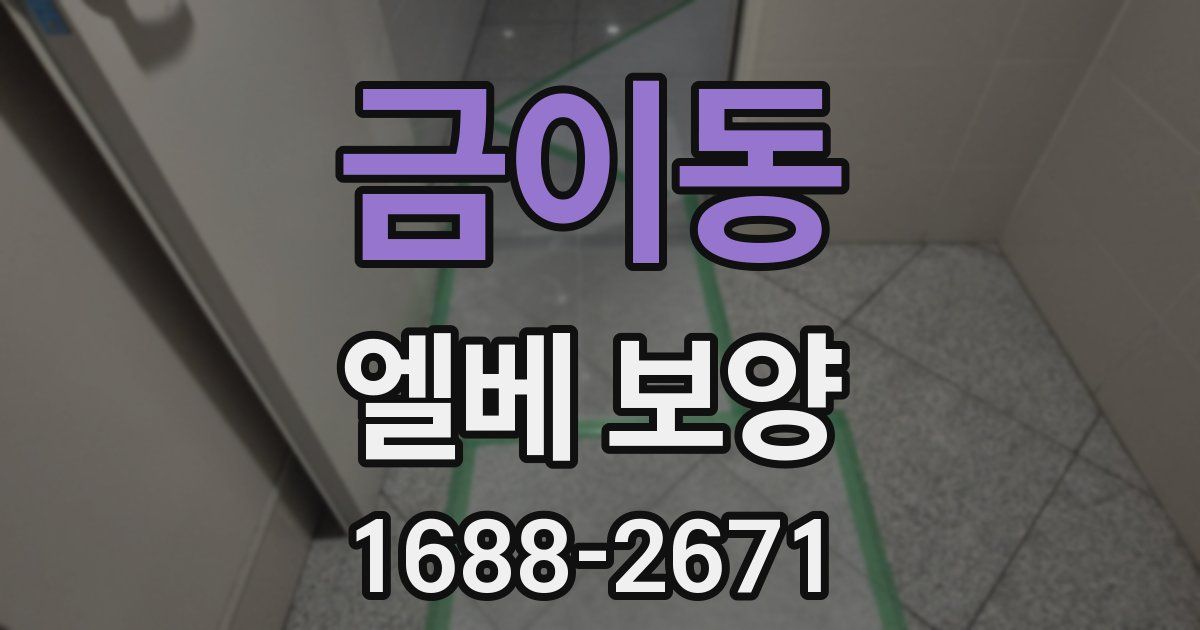 금이동 엘베 보양