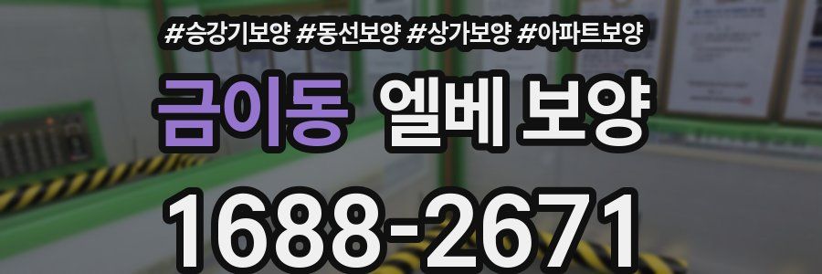 금이동 엘베 보양