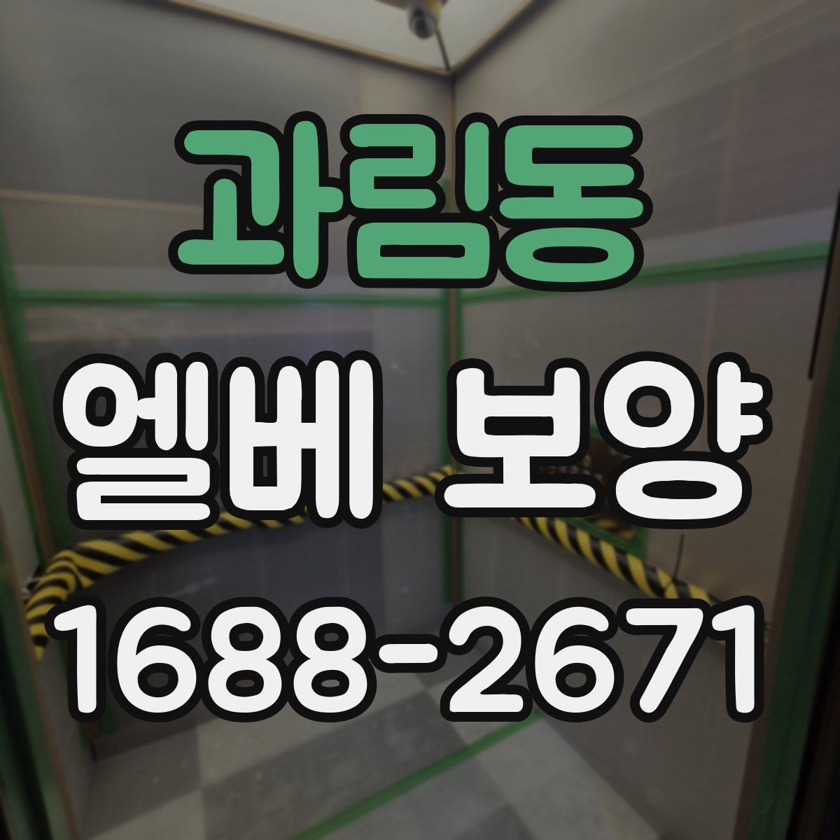 과림동 엘베 보양