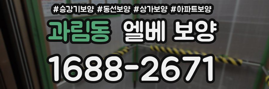 과림동 엘베 보양