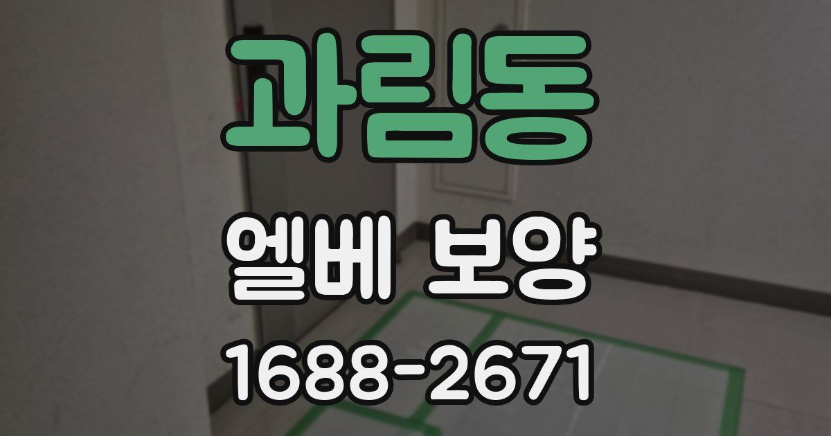 과림동 엘베 보양