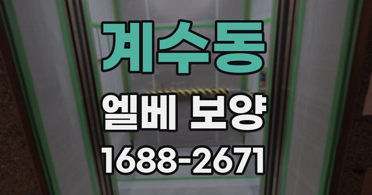 계수동 엘베 보양