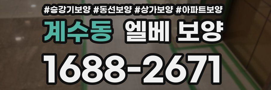 계수동 엘베 보양