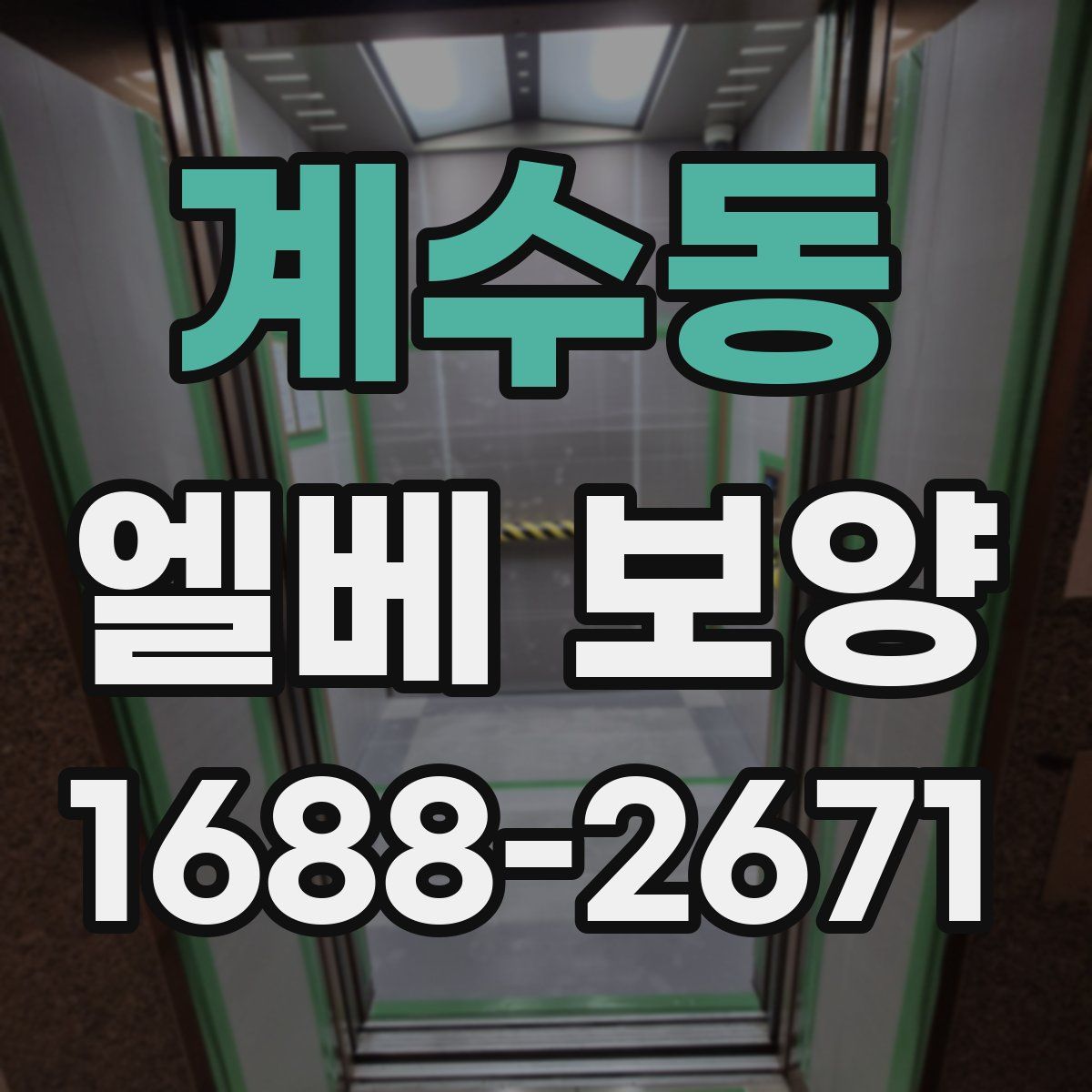 계수동 엘베 보양
