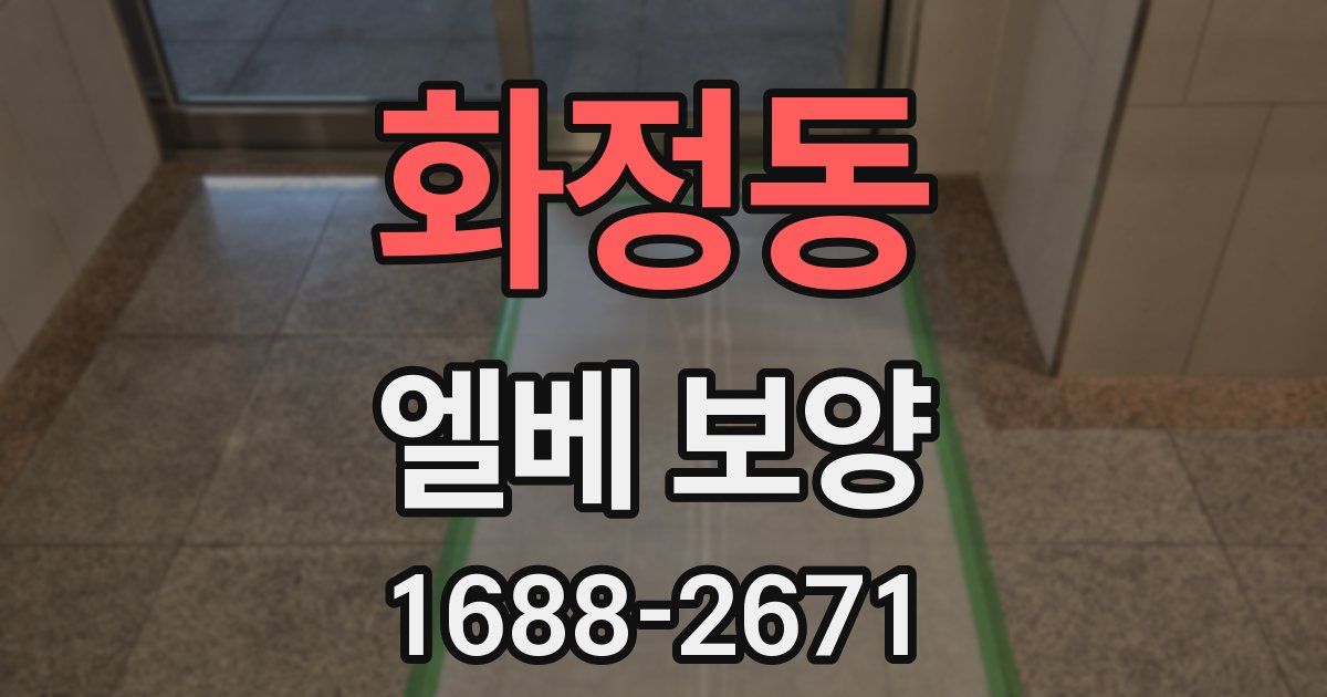 화정동 엘베 보양