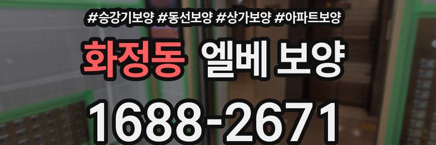 화정동 엘베 보양