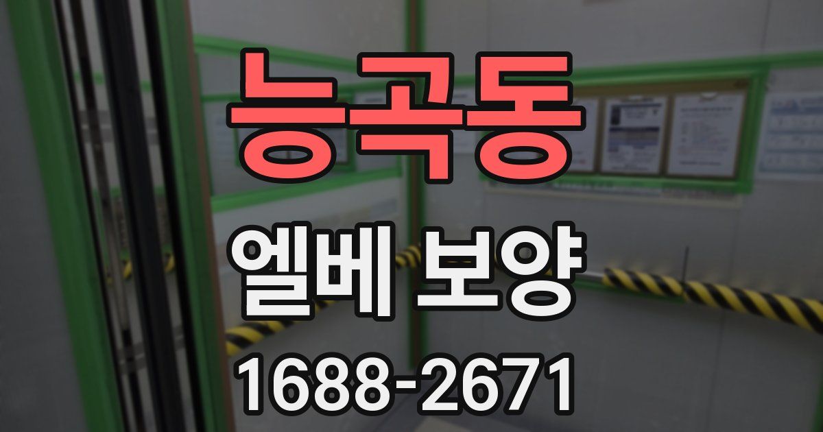 능곡동 엘베 보양