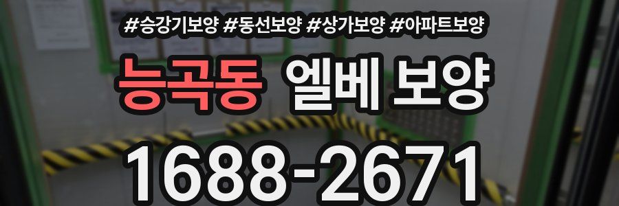 능곡동 엘베 보양