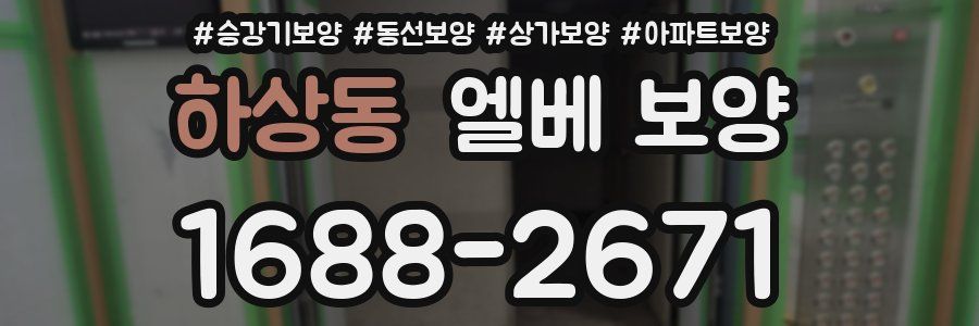 하상동 엘베 보양