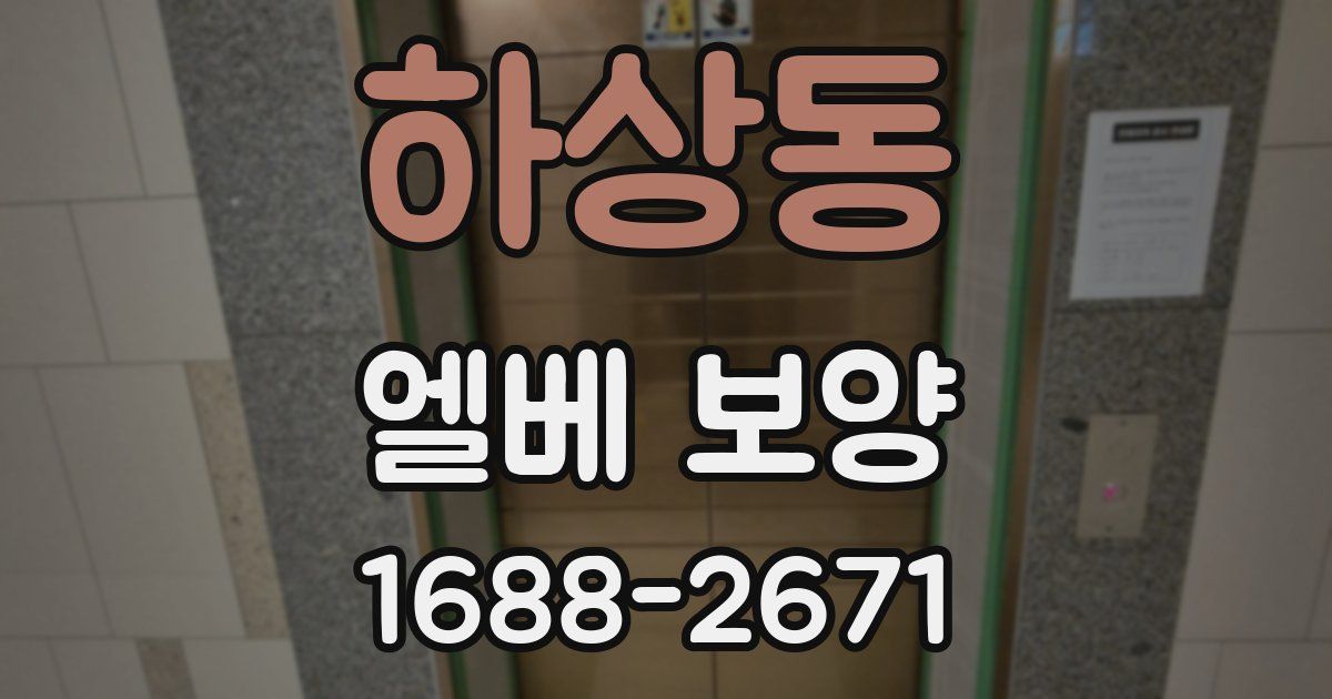 하상동 엘베 보양