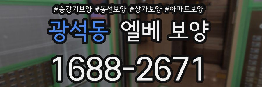 광석동 엘베 보양