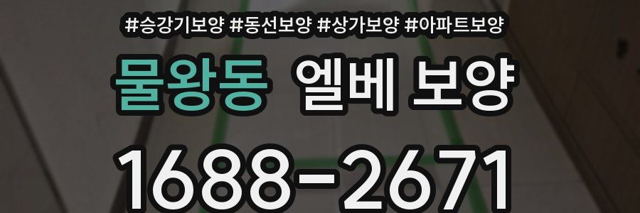 물왕동 엘베 보양