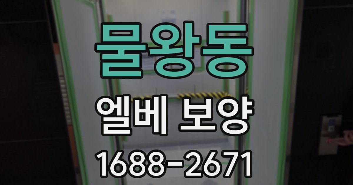 물왕동 엘베 보양