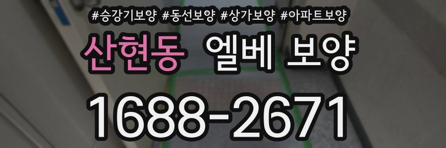 산현동 엘베 보양