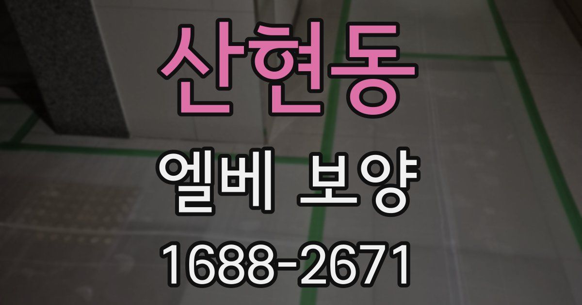 산현동 엘베 보양