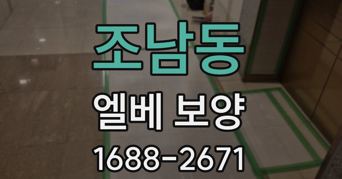 조남동 엘베 보양