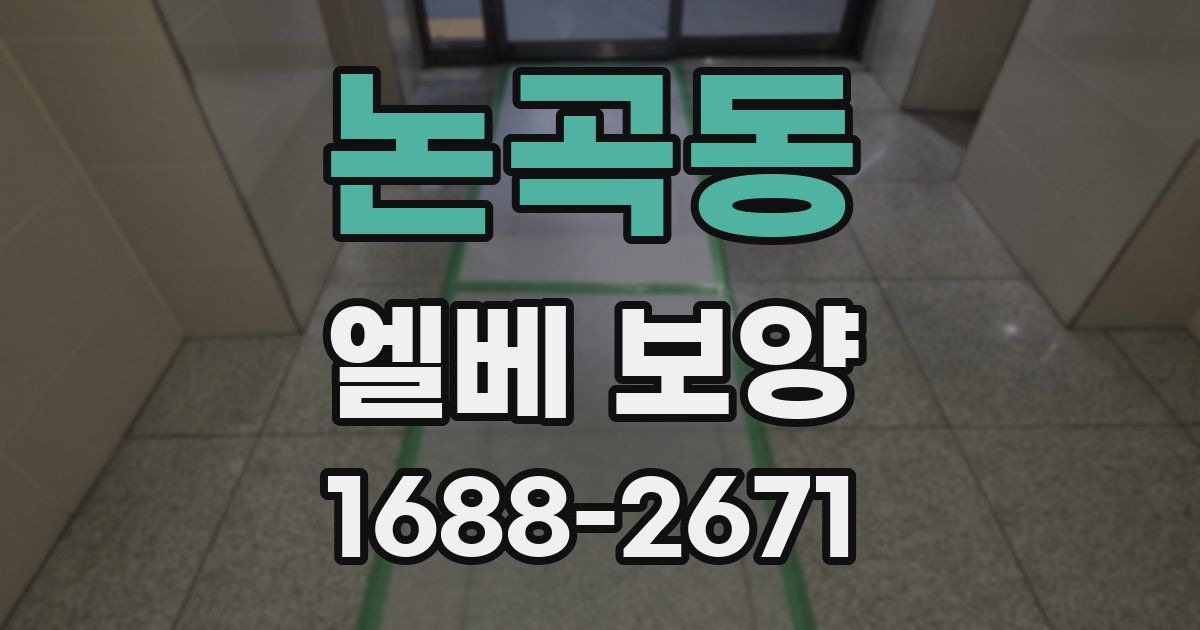 논곡동 엘베 보양