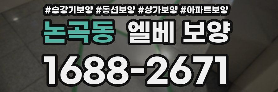 논곡동 엘베 보양
