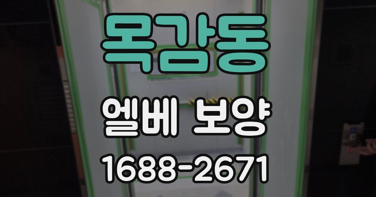 목감동 엘베 보양