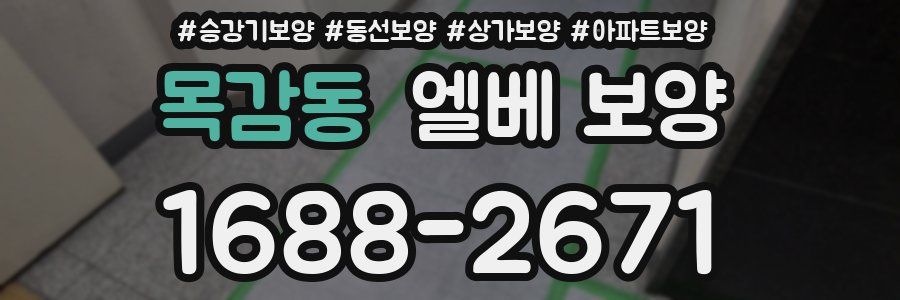 목감동 엘베 보양