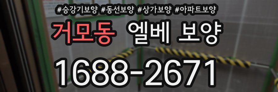 거모동 엘베 보양