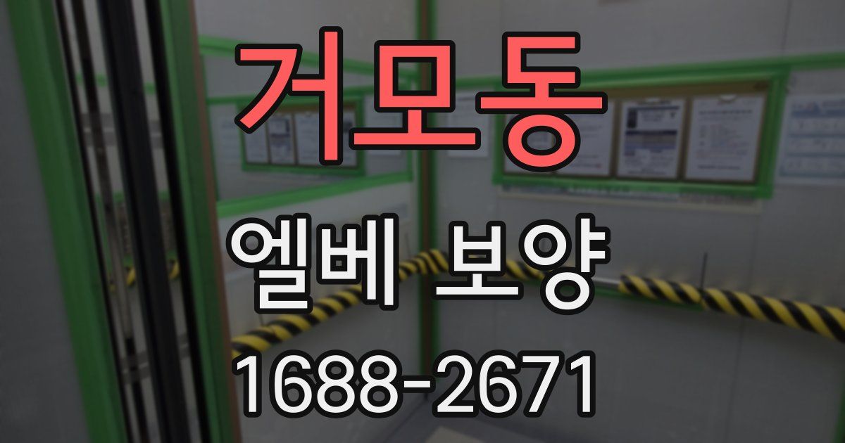 거모동 엘베 보양