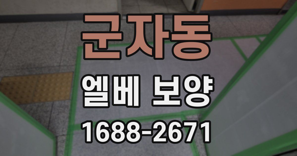 군자동 엘베 보양
