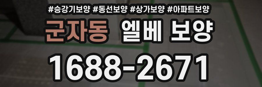 군자동 엘베 보양