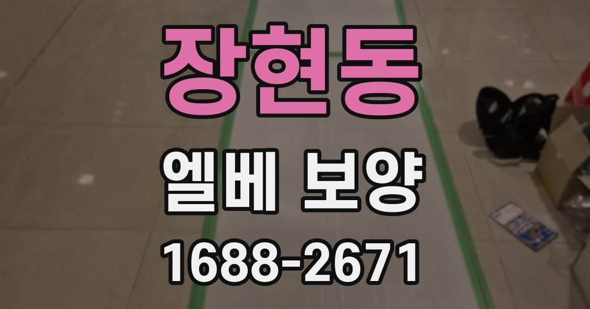 장현동 엘베 보양