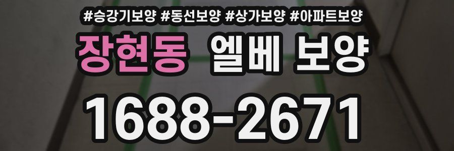 장현동 엘베 보양