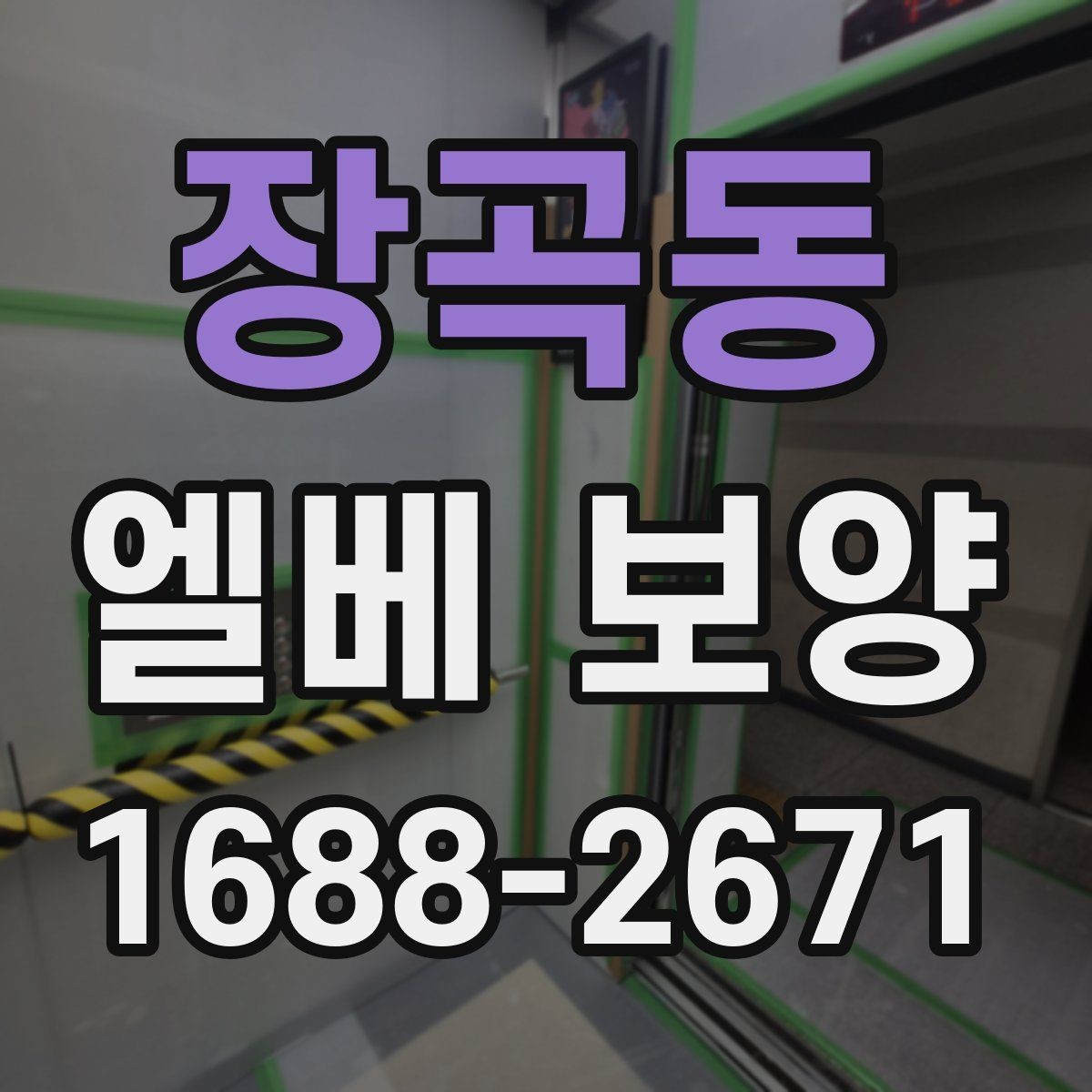 장곡동 엘베 보양 주거용과 상업용 건물 적용 차이
