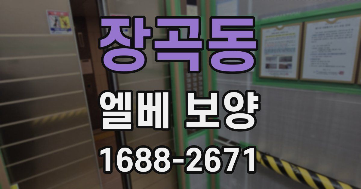 장곡동 엘베 보양