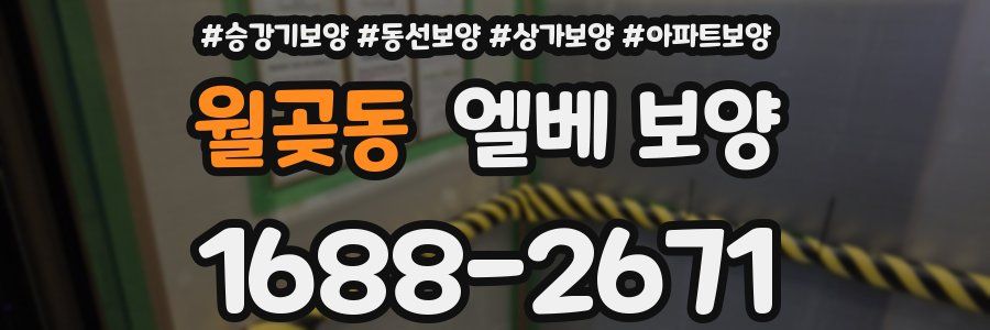 월곶동 엘베 보양