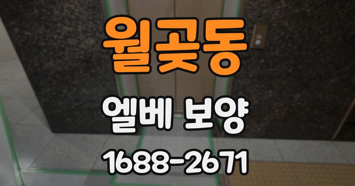 월곶동 엘베 보양