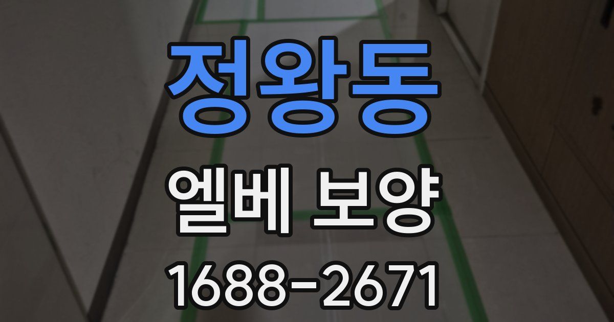 정왕동 엘베 보양